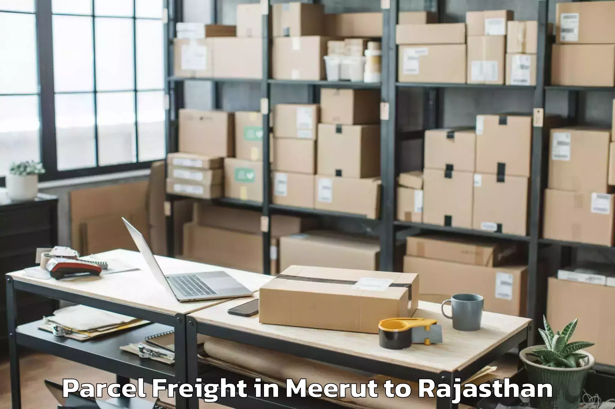 Affordable Meerut to Phulera Sambhar Parcel Freight